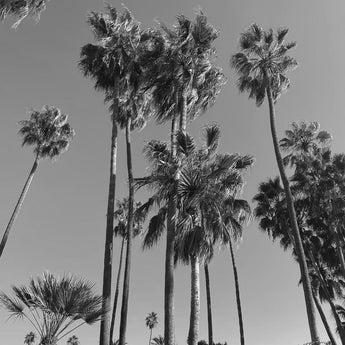Los Angeles Wardrobe