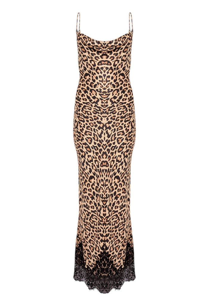 Leopard Lace Patti Dress