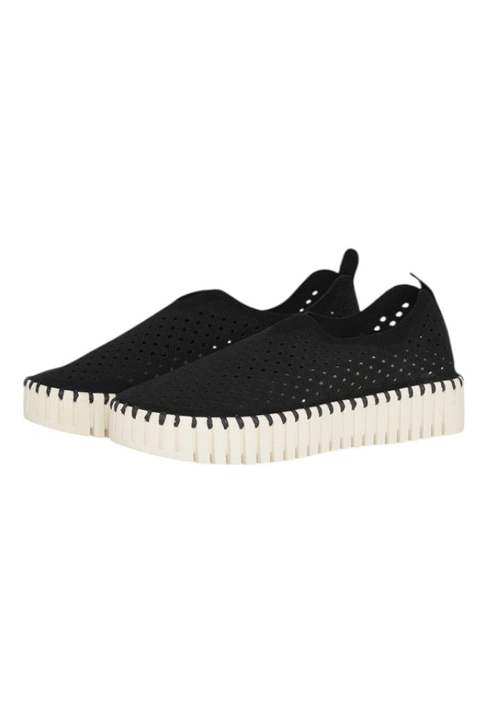 Microfiber Tulip Shoe - Black