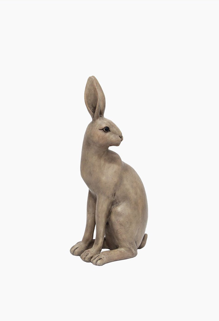 Harold The Hare Turning Brown