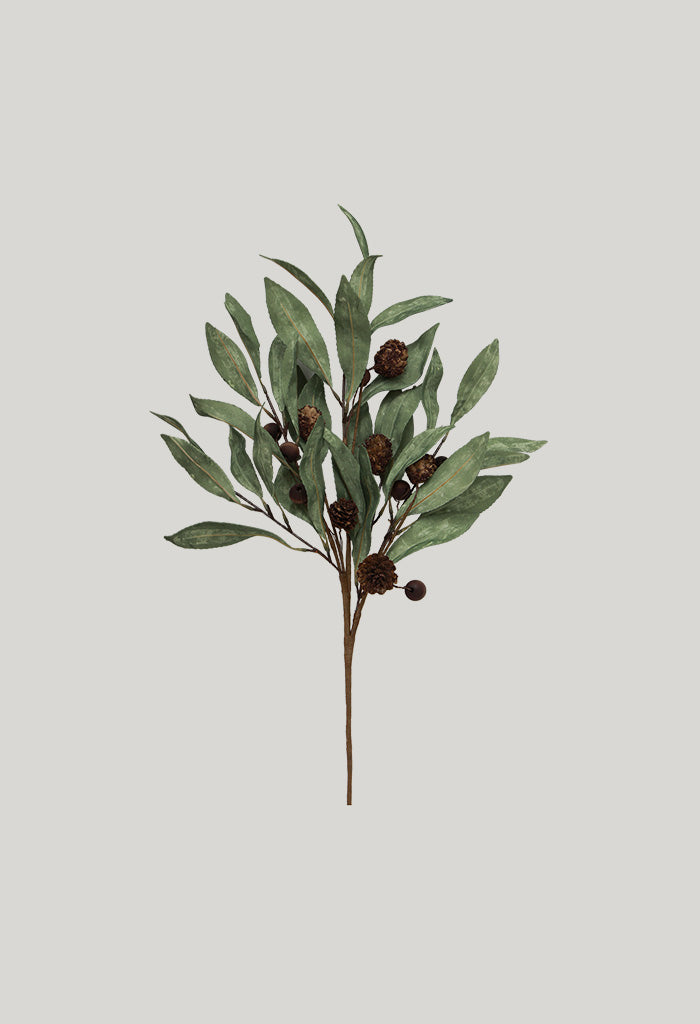 Eucalyptus & Brown Berry Wood Branch