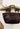 Lucine Leather Bag - Dark Brown Buffalo Leather Diffusion x Rixo 