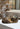 Philippe Model Planche Low Women - Animalier Beige Noir