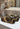 Philippe Model Planche Low Women - Animalier Beige Noir