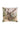 Romuald Aube Cushion Cover