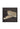 Square 65 - Felis Grey