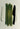 The Celery Set