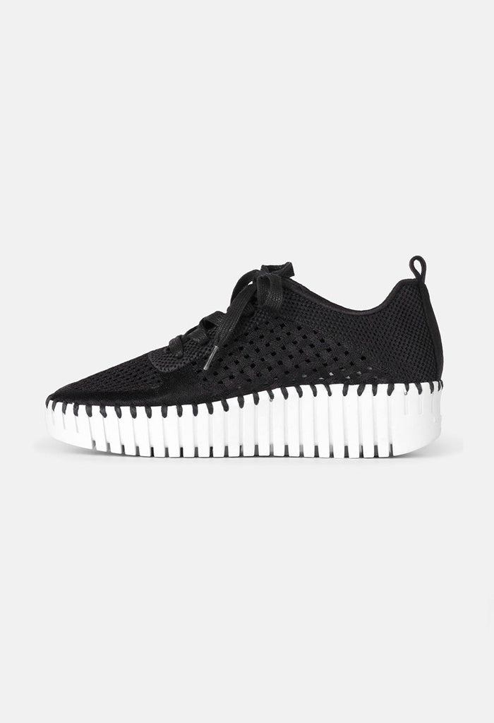 Tulip Flats With Laces - Black