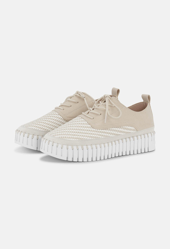 Tulip Flats With Laces - Kit White