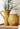 Ronan Urn Aged Yellow - Small