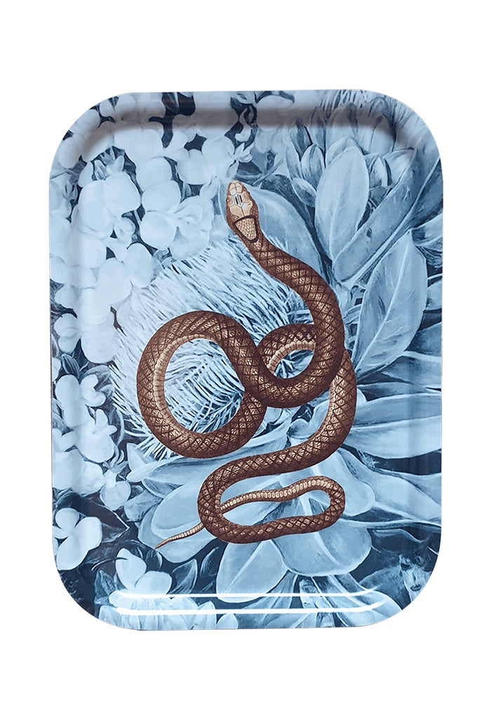 Decorative Wood Tray - Blue Garden Snake (Small)